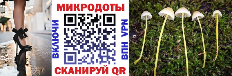 блэк спрут как зайти  Красноуфимск  Галлюциногенные грибы прущие грибы 